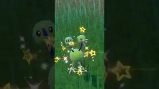 Meet the shiny Doduo! The ultimate two-headed bird! 🐦✨#pokemonscarletandviolet