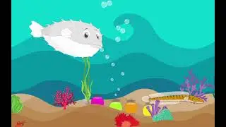 Puffer Fish Animation - 2D Animation