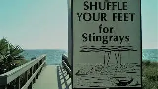 SHUFFLE YOUR FEET, a tech house mix