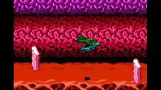 BattleToads Pause Song (MP3 INCLUDED)