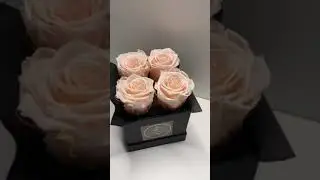 LUXFLOWER infinity rose square box S