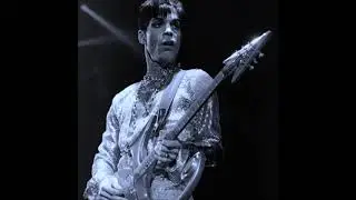 Prince - 