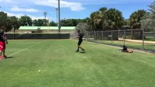 Baseball training camps