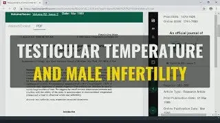 Testicular Temperature And Male Infertility | Study