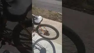 Rasta Roller Ride
