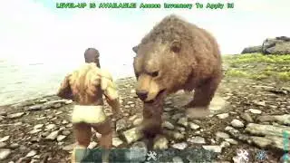 quick and easy trap for you dire bear