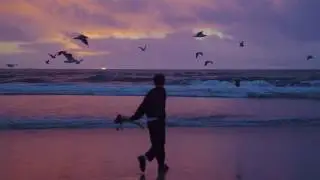 Postcard Boy - Dazed (Official Music Video)