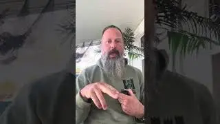 Young Dog Showing Aggression? How to Address It Early and Safely
