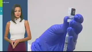 How the Pfizer COVID-19 vaccine was approved so quickly