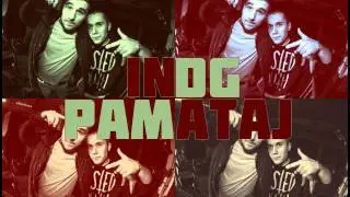 INDG - Pam&auml;taj