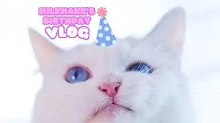 🎉 Milkshake’s 5th Birthday Celebration! 🎂🎁 | Special Meal & Gifts! 🐱