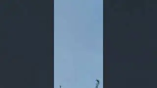 The Invisible Aliens Space Ship