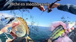 P&Ecirc;CHE du BORD en M&Eacute;DITERRAN&Eacute;E!!!