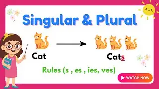 Singular and Plural Nouns for Kids | Fun Grammar Rules with s, es, ies & More!