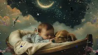 Dog Calming Music - Serene Soundscapes, Penny Piper Healing Music