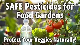 Safe Pesticides For Vegetable Gardens. How To Fight Pests Organically #seedly #diypestcontrol #aphid
