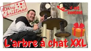UNBOXING ARBRE À CHAT XXL !!!