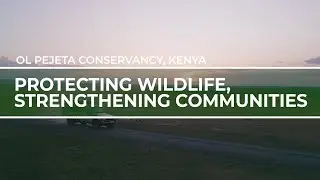 Protecting wildlife, strengthening communities | Ol Pejeta Conservancy | Travel Redefined