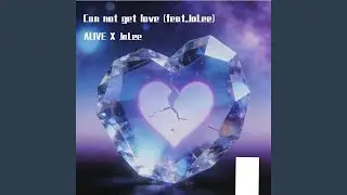 Can Not Get Love