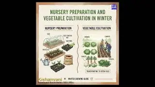 NURSERY PREPARATION AND VEGETABLE CULTIVATION IN WINTER