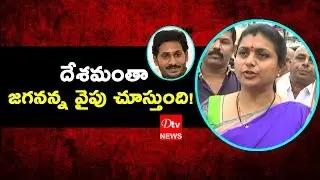 APIIC Chairman Roja Visit Tirumala Tirupati Temple Video | Cm YS Jagan Mohan Reddy | Dtv Telugu