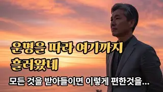 모든 것을 내려놓으면 편해지니...운명인것인가#꽃길만가요 🌸#중년노래 #중년감성 #트롯 