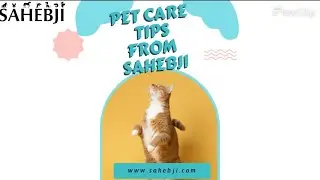 Sahebji's Top Tips for Happy and Healthy Pets: Expert Pet Care Advice!