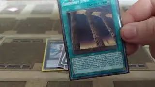 chronomaly deck profile