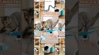 Smart Cat Toy Rechargeable Interactive Electric Car