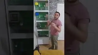 Hint bülbülü mü? Bengal ispinozu mu?🐤🐦
