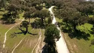 Alentejo Summer Time - beautiful drone video