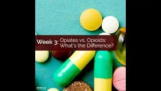 Opiates Vs Opioids