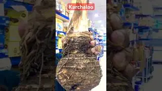 Bigest karchaloo |#viral #market #shorts