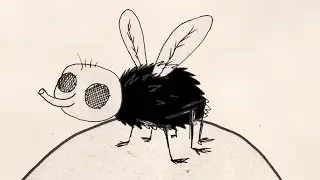 KASSLER - SALUT LES MOUCHES (OFFICIAL VIDEO) - 2/5