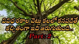 చెట్లు - కలలు ఫలితాలు | Chetlu Kalalu Vaati Phalithalu | Laxmi Devotional | Tree In Dreams | Telugu