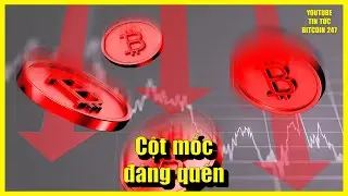 Bitcoin thiết lập cột mốc đ&aacute;ng qu&ecirc;n trong năm 2025, c&aacute; voi mua mạnh ETH khi gi&aacute; đi ngang
