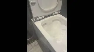 Hindware Wall Mount Flushing