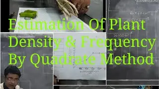 Estimation Of Plant Density & Frequency By Quadrate Method 