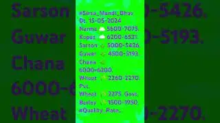 Sirsa mandi bhav 15-05-2024
