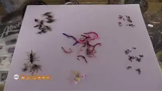 Fish Tech Fishing Tip: What Flies to Use in the Winter