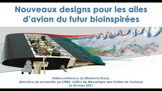 Nouveaux designs pour les ailes d’avion du futur bioinspirées