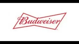 Budweiser Client Brief: 2019 Young Ones Competition