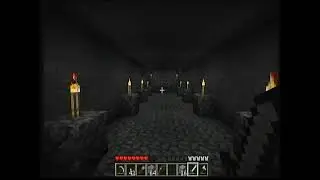 MC Paladin Ryan SMP - Beta 1.7.3 VHS [5]