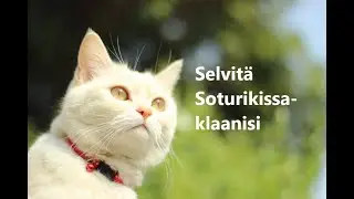 Selvit&auml; soturikissa  -klaanisi!