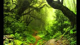 Trax 2 Relax - The Hidden Path (Album In The Forest)
