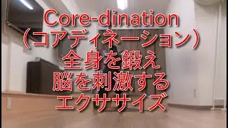 コアディネーション(Core-dination)　　全身を鍛え、脳を刺激する【コマンドー Tプランク with オルタネイティング リーチ】