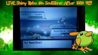 (ISHC 2014) LIVE ON STREAM!!! Shiny Natu On SoulSilver After 1080 RE!!!