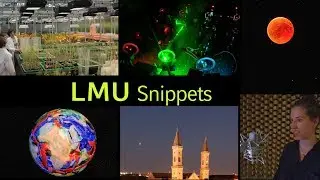 LMU Snippets