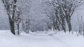 Wintertale - Original Piano Composition by Florian Jauch