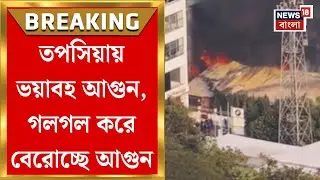 Kolkata Fire News | তপসিয়ায় সোফা তৈরির কারখানায় দাউ দাউ করে জ্বলছে আগুন! | Bangla News